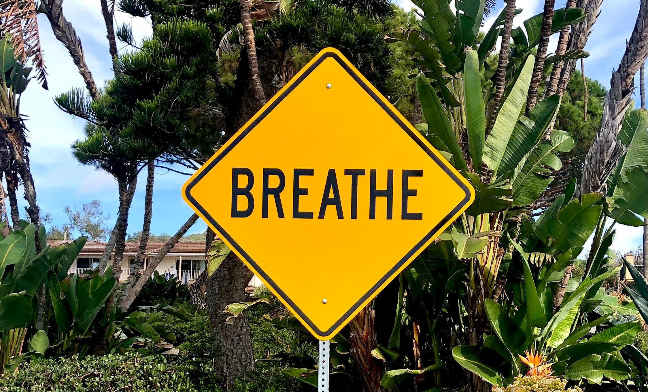 5 Best breathing techniques to fight anxiety and calm our minds